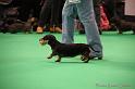 Crufts2011_2 1540